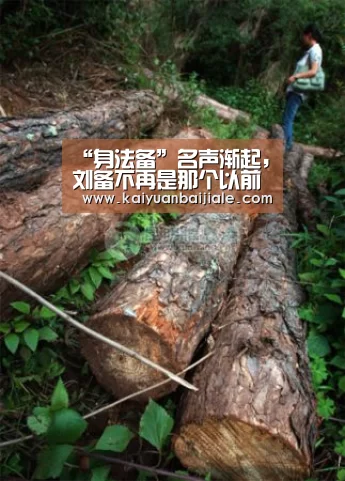 开元百家乐