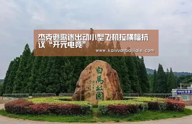 开元百家乐