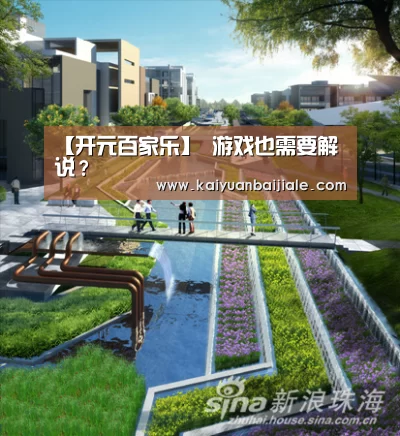 开元百家乐