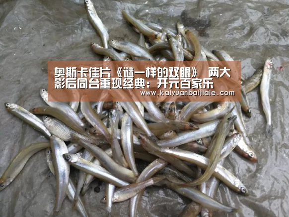 奥斯卡佳片《谜一样的双眼》 两大影后同台重现经典:开元百家乐(图1) 开元百家乐