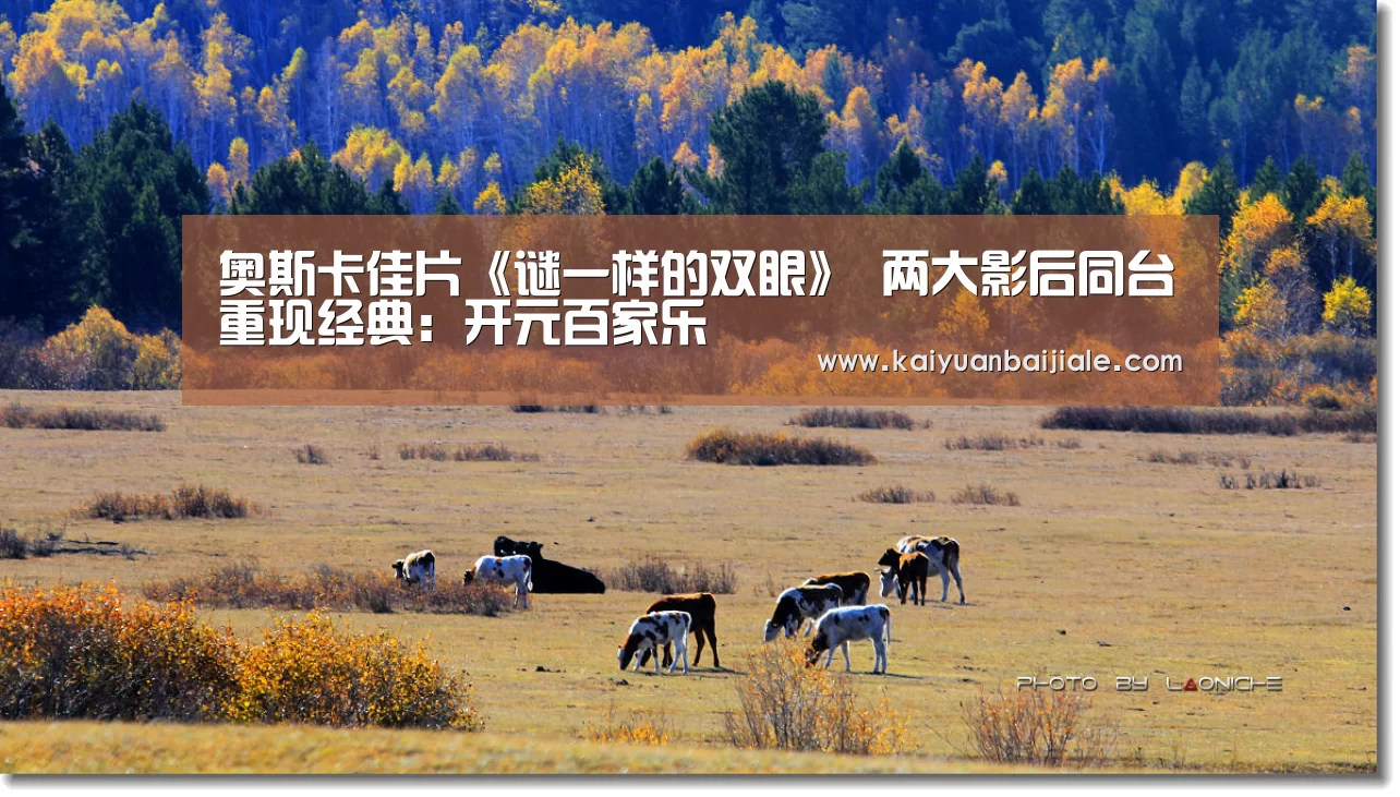 奥斯卡佳片《谜一样的双眼》 两大影后同台重现经典:开元百家乐(图3) 开元百家乐