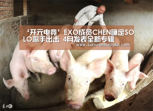 ‘开元电竞’EXO成员CHEN确定SOLO歌手出击 4月发表全新专辑(图1) 开元百家乐