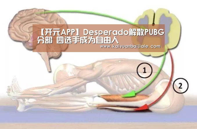 【开元APP】Desperado解散PUBG分部 四选手成为自由人(图4) 开元百家乐